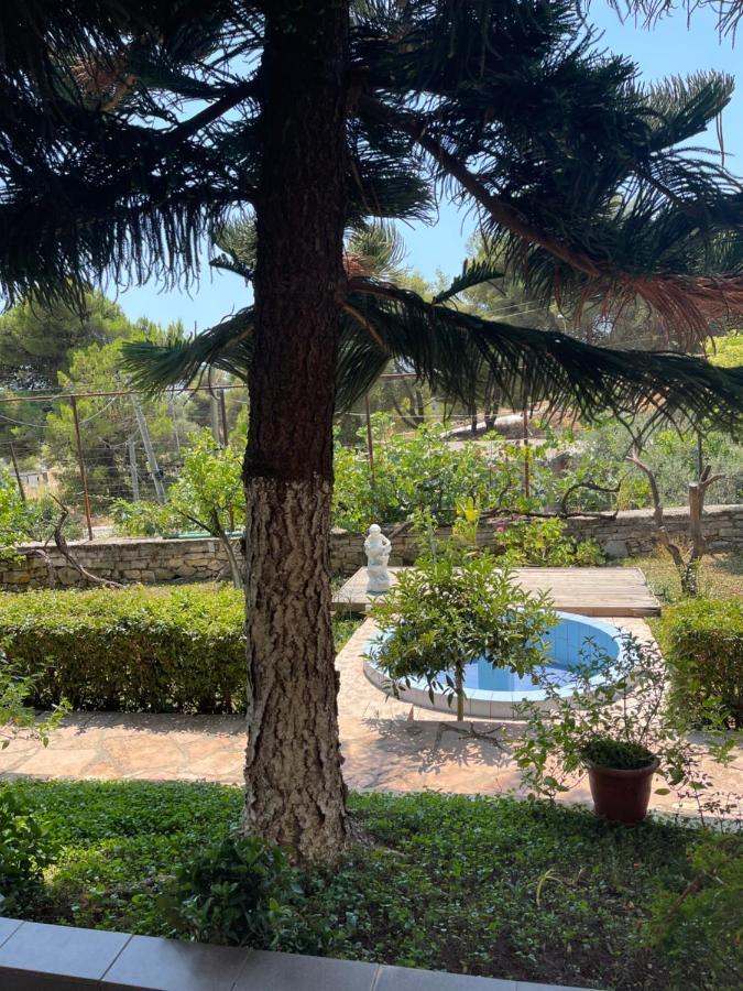 Elias Guest House Sarande Exterior photo